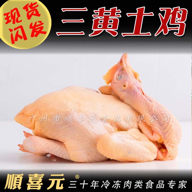 廣州雞肉批發(fā)冷凍 農(nóng)家三黃土雞 三黃雞白條雞光雞燒雞用 9.5kg箱