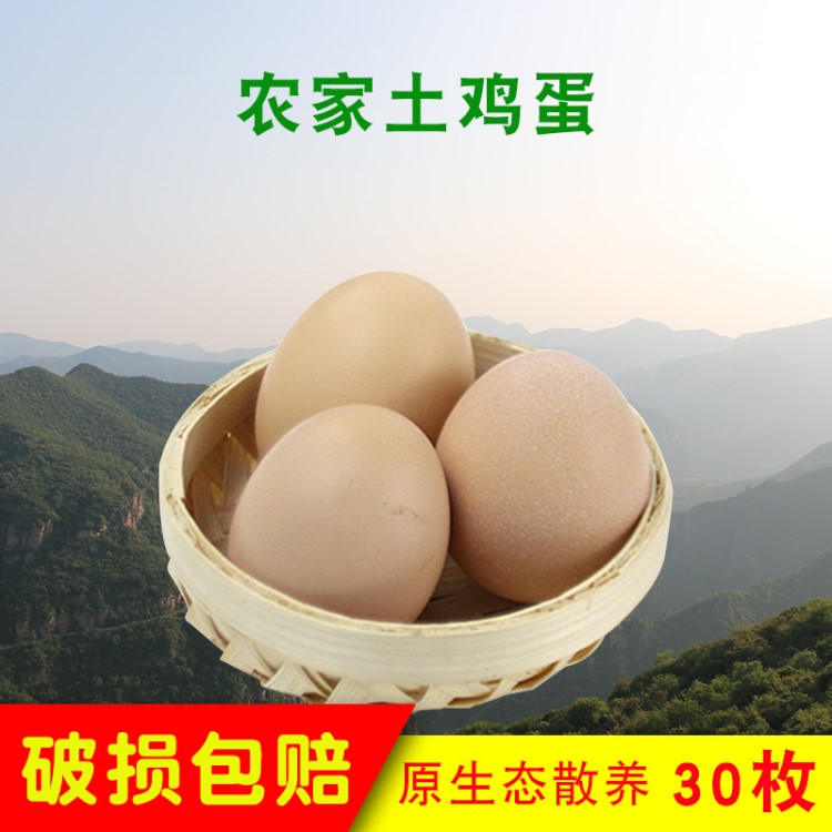 農(nóng)家散養(yǎng)新鮮土雞蛋 農(nóng)村自養(yǎng)月子笨雞蛋草雞蛋新鮮30枚包郵