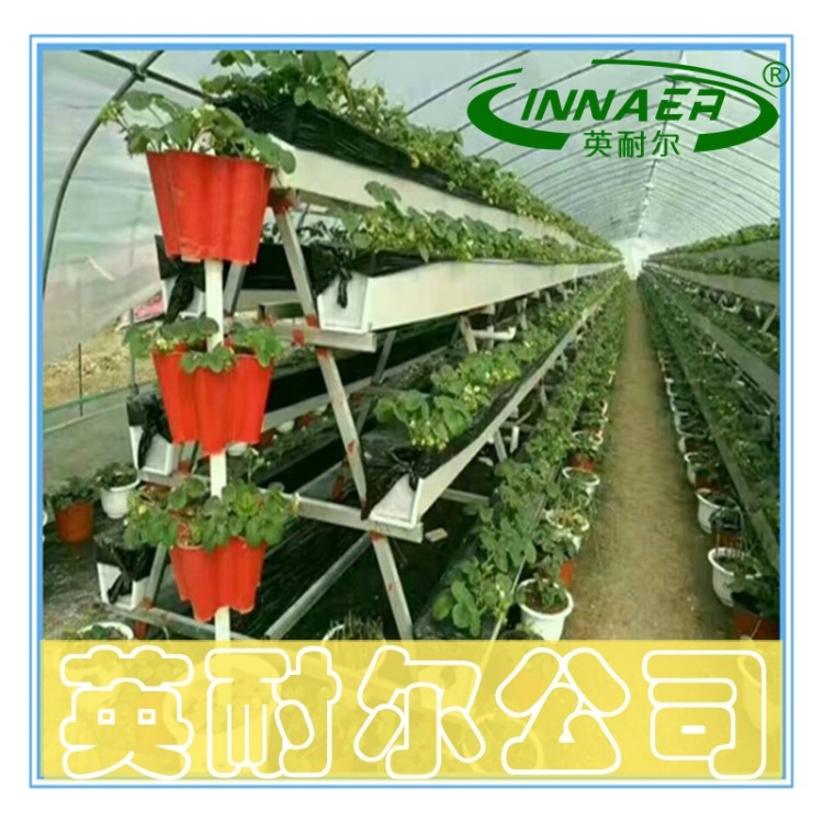 大棚溫室立體種植槽 日光溫室蔬菜栽培槽 草莓基質槽