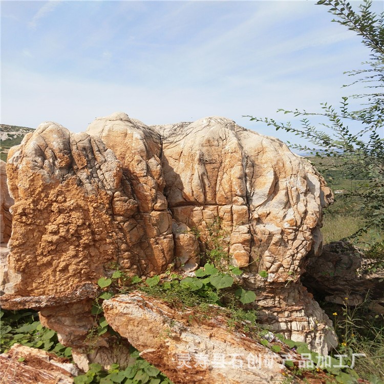 大量批發(fā) 園林景觀石 造型多樣  歡迎選購