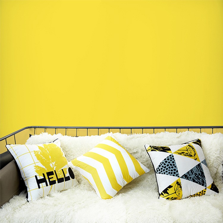 瑟姿 卡通抱枕創意黃黑色幾何簡約沙發靠墊可愛動物靠背絨布兒童