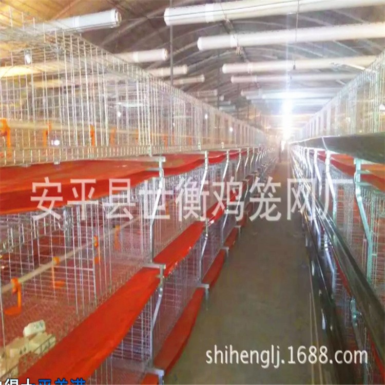 出口標準生產肉雞籠 三層立體式肉雞籠  雞籠配件 廠家直銷