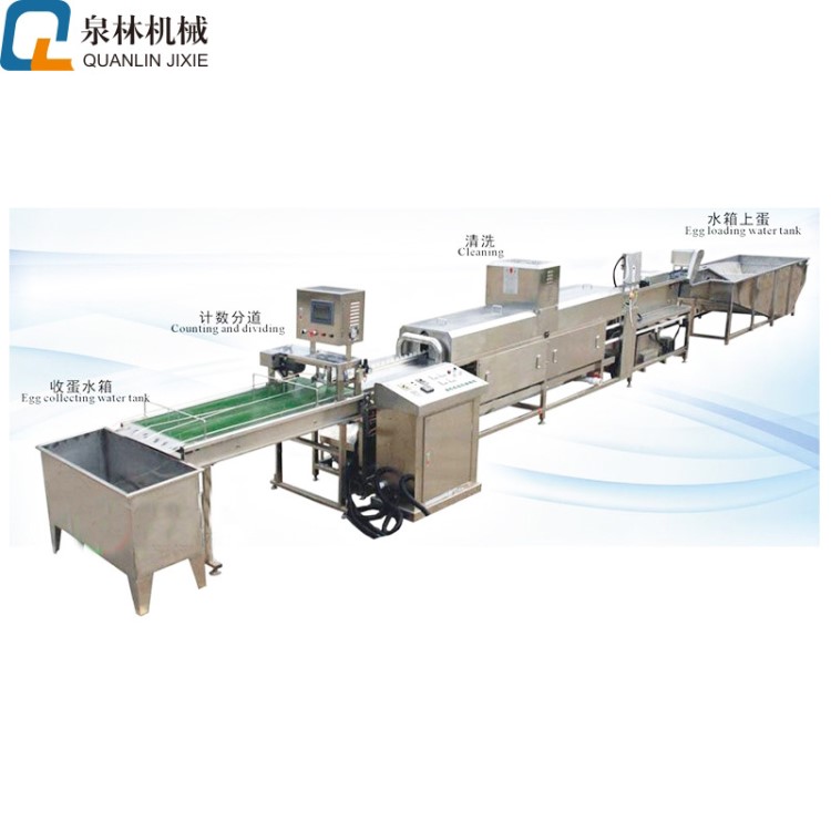 泉林洗蛋機(jī)雞蛋鴨蛋鵝蛋蛋類清洗洗蛋機(jī) 蛋品加工設(shè)備廠家直銷