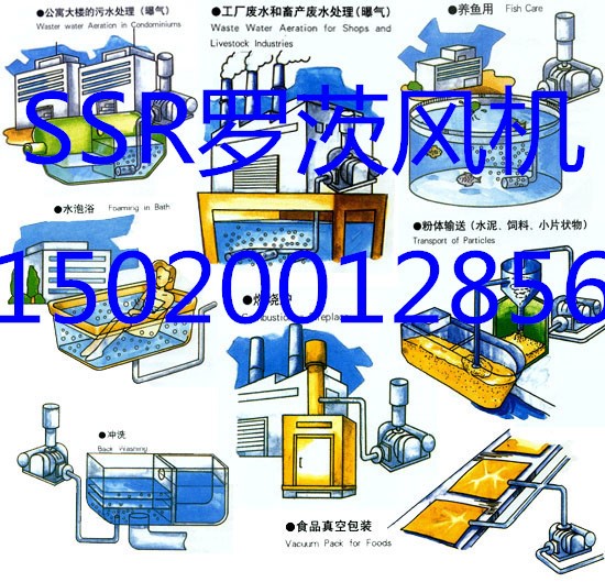 章晃SSR-125羅茨風(fēng)機(jī)  三葉羅茨鼓風(fēng)機(jī)  氣力輸送  污水處理