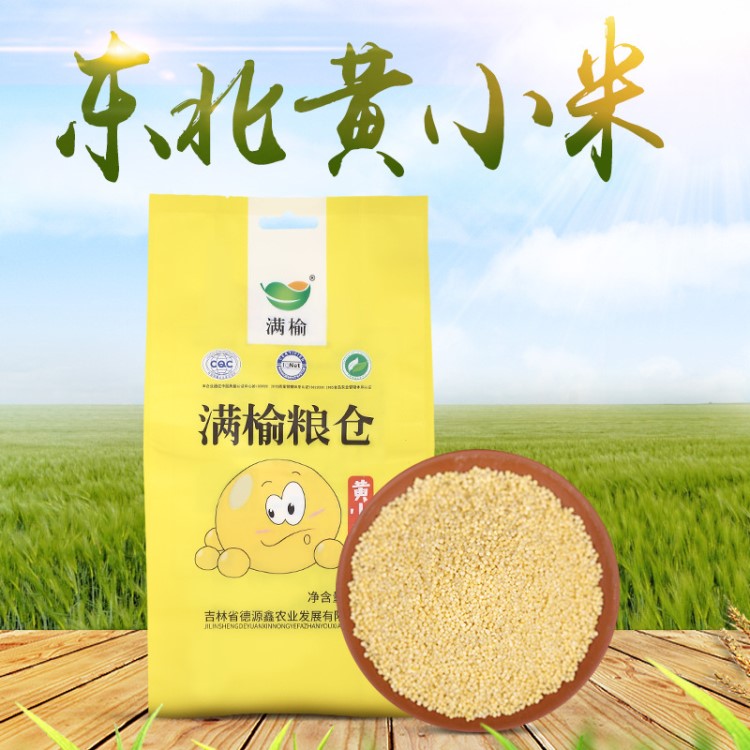 滿榆黃小米1kg2斤新米鮮米東北特產(chǎn)五谷雜糧香甜適口