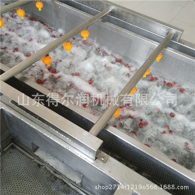 辣椒氣泡清洗機 供應凈菜設備 臭氧去農殘蔬菜加工機械 渦流機器