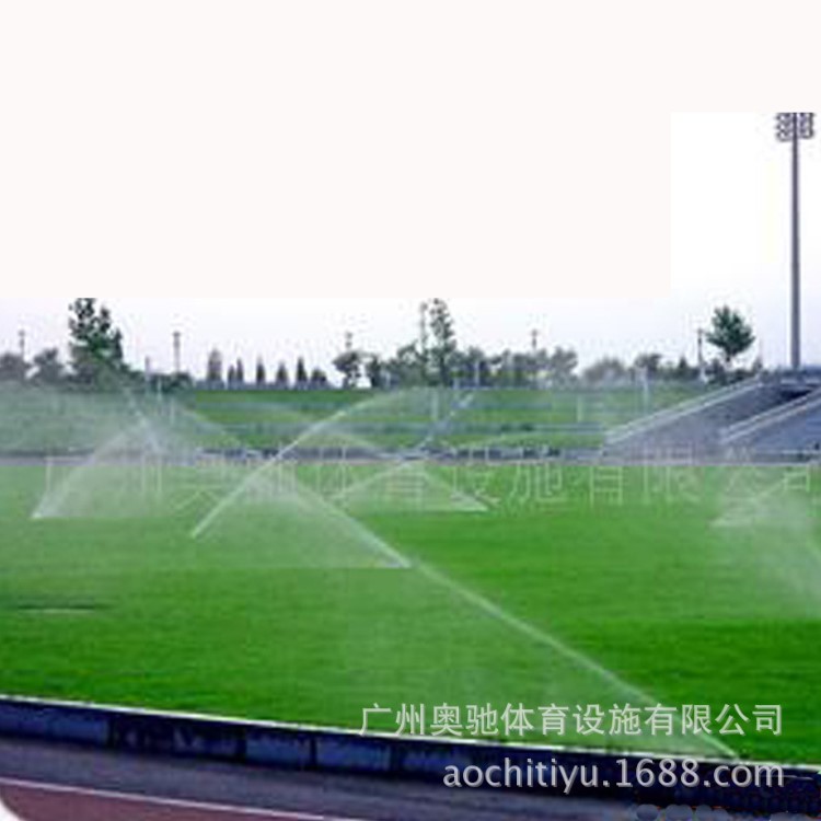 自然 蘭引三號草  蘭引3號自然草場  草坪種植基地  足球場專用草