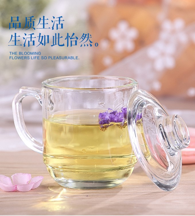 禮品玻璃杯帶蓋 透明耐高溫茶飲杯辦公玻璃杯把手泡茶杯 花茶定制