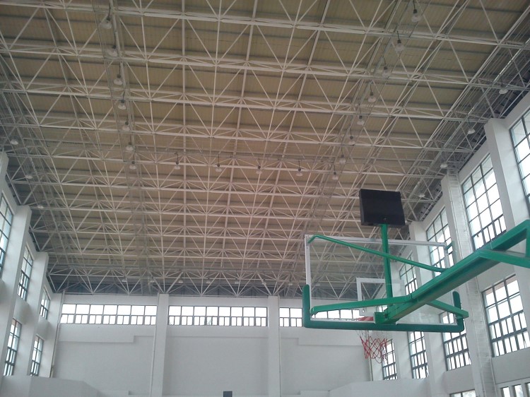 東莞網架結構羽毛球館建造佛山廣州加工安裝螺栓球網架找廣州埔成