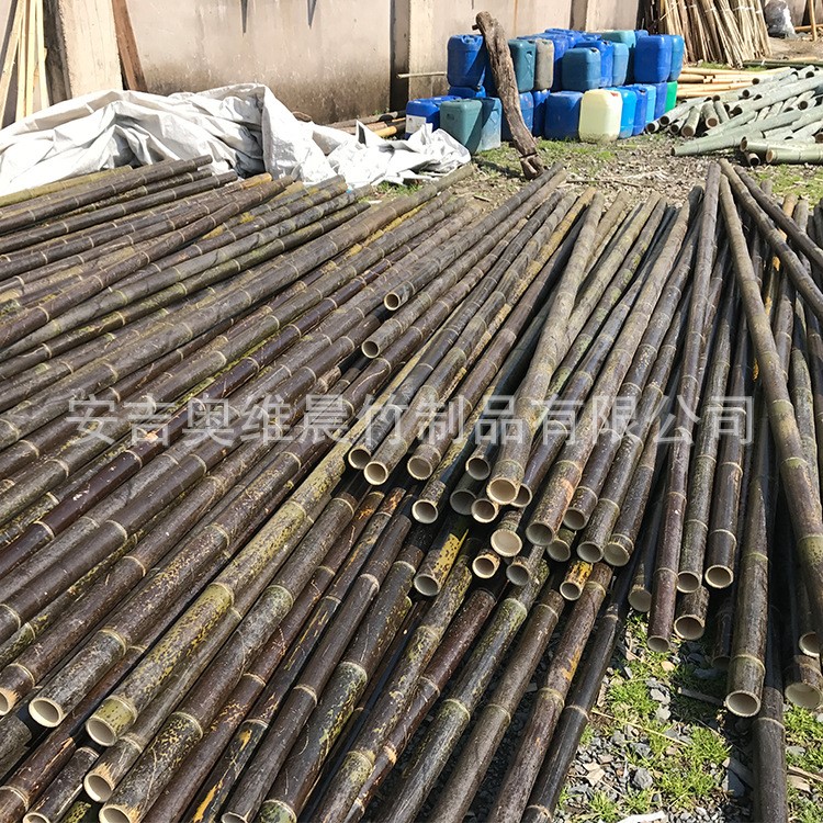 工廠直銷綠籬裝修竹竿黑斑批發防腐竹竿定制