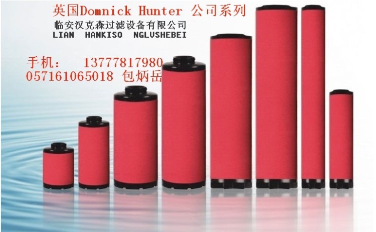 DH多米尼克過濾器濾芯K620AX