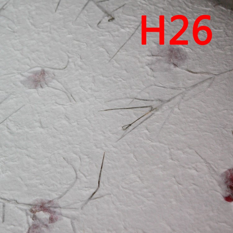 花瓣紙H26  花草天然植物手工紙 太陽紅花松針手造紙 鮮花包裹紙