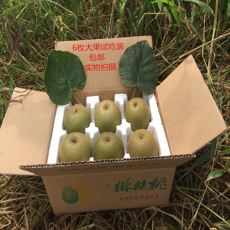 蒲江紅心獼猴桃奇異果6枚大果試吃裝自家基地種植現(xiàn)摘現(xiàn)發(fā)