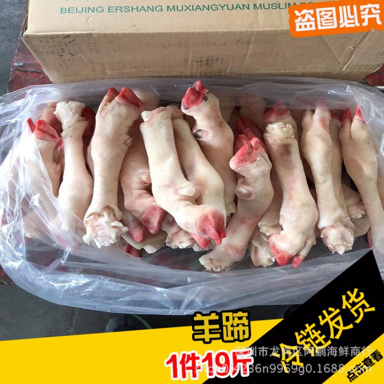 大羊腿 羊蹄 烤肉专用 羊肉羊腿肉 冷冻羊腿 内蒙古羊腿 1件19斤