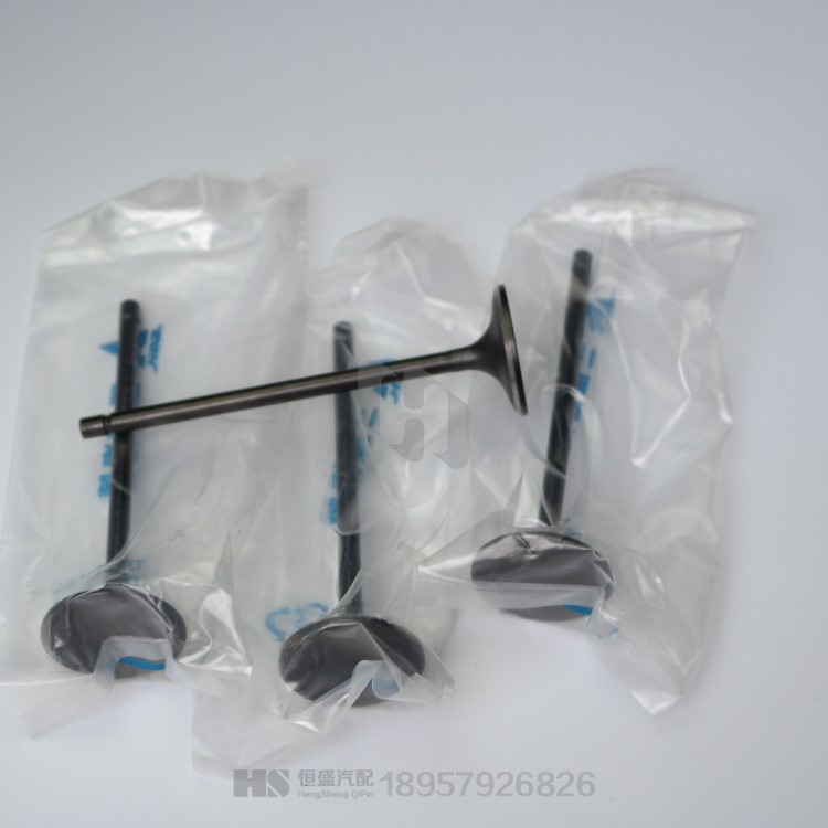 五菱之光6376NF JL465QR 0.998排量發動機氣門 進氣門 排氣門