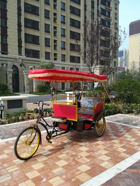 電動(dòng)雙人三輪黃包車 公園親子代步車 電動(dòng)車 復(fù)古觀光旅游車雙人