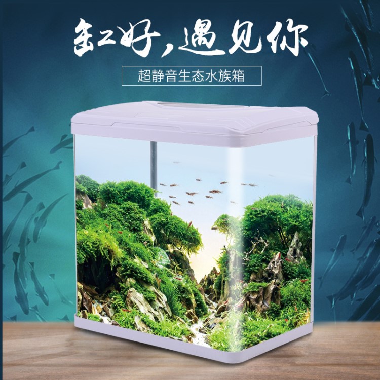 魚缸水族箱小型玻璃魚缸免換水生態(tài)魚缸桌面懶人觀賞龜金魚缸造景