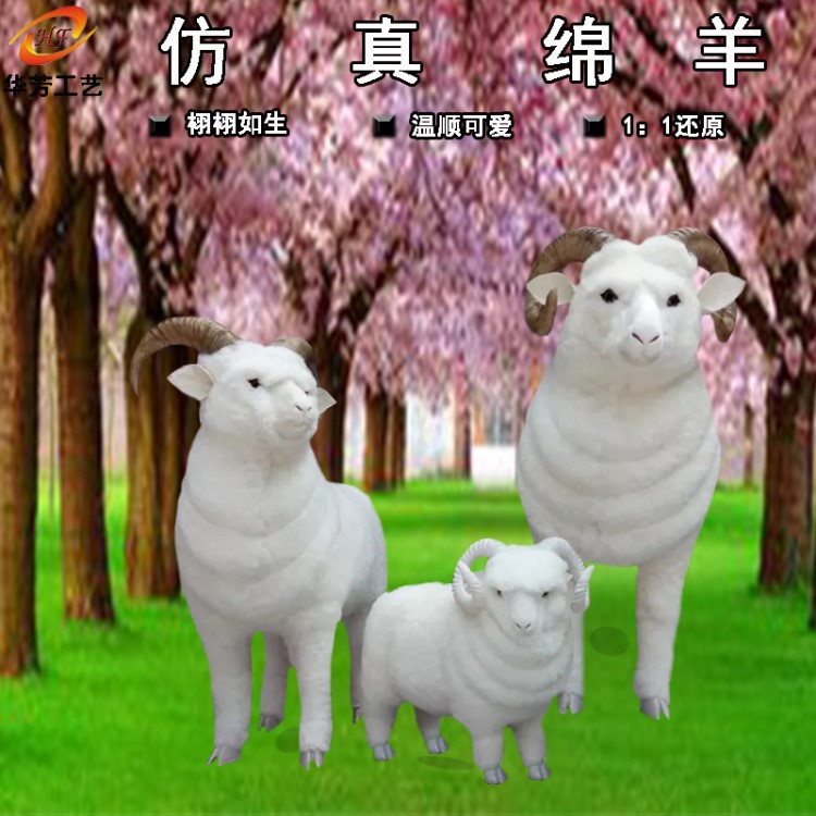 仿真綿羊模型真皮毛動物標本擺件