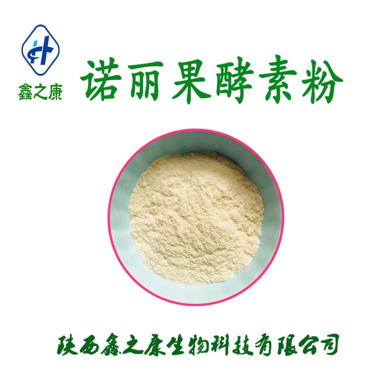 諾麗果酵素粉 99%  廠家現貨 諾麗果提取物 保健原料 1公斤包郵