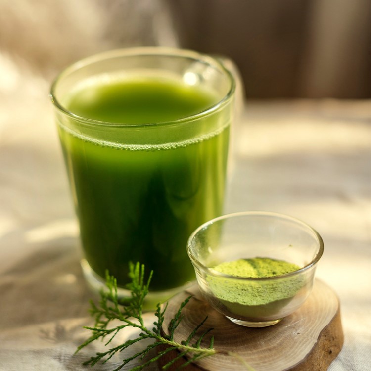 青汁酵素粉oem大麦若叶青汁粉三里青汁159酵素代餐粉贴牌代加工