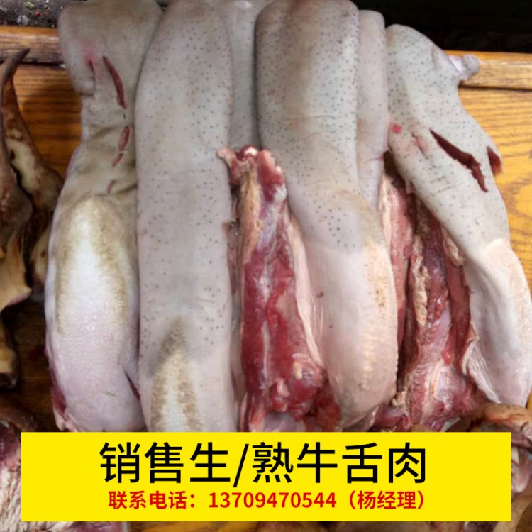 供應(yīng)牛頭 生熟牛頭肉 牛副產(chǎn)品去毛生牛舌肉 批發(fā)銷售 量大從優(yōu)