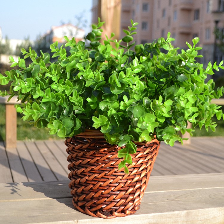 仿真尤加利葉塑料草草坪米蘭綠植盆景客廳茶幾園林工程餐廳裝