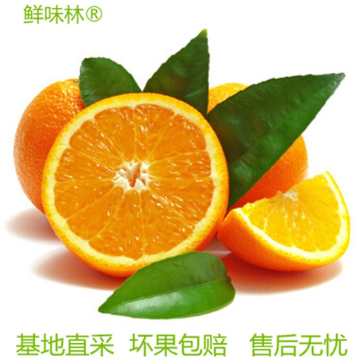 奉节纽荷尔非赣南脐橙礼品精装团购水果基地现采批发代理代发