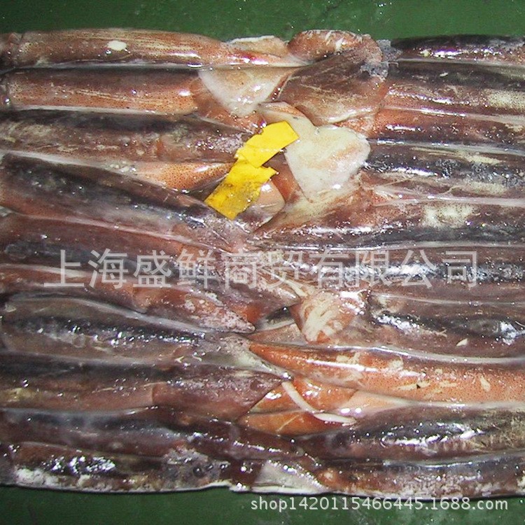 水產(chǎn)海鮮類凍品阿根廷魷魚 料理海鮮凍品阿根廷冰凍魷魚