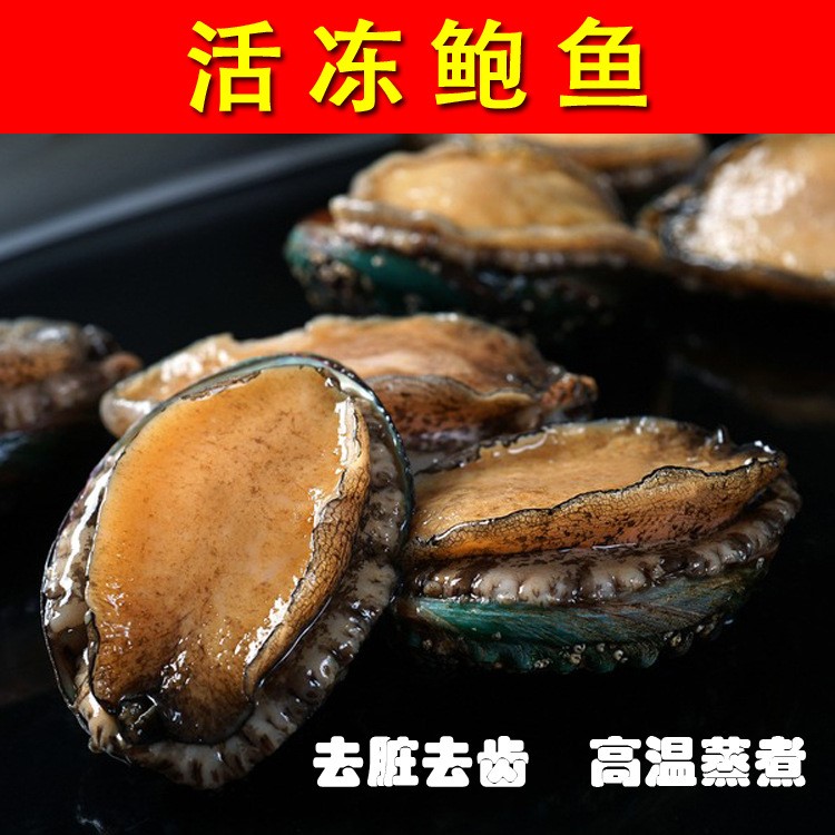 【鮮大陸】酒店婚宴 喜宴 去臟去齒 高溫蒸煮 真空包裝 活凍鮑魚