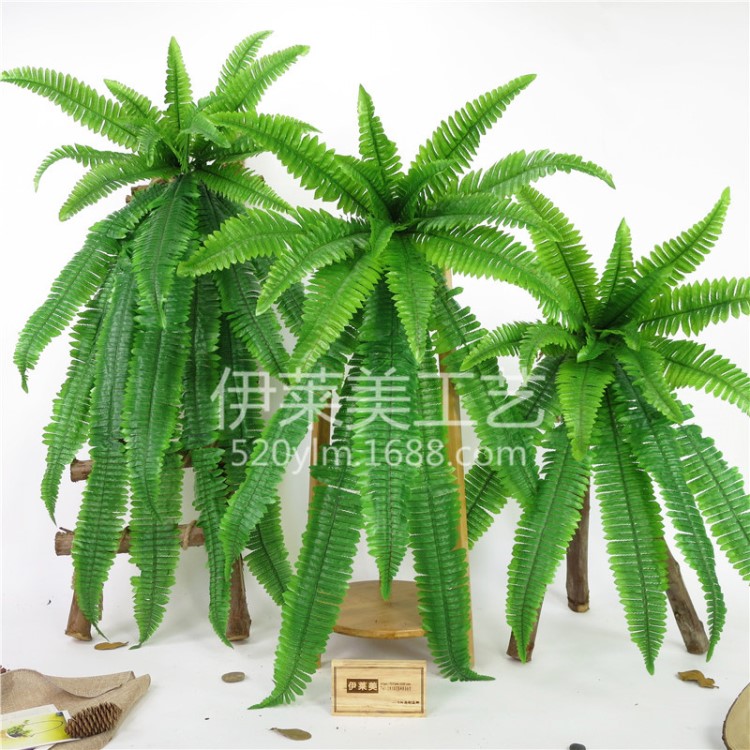 【長波斯壁掛】仿真植物仿真波斯葉壁掛波斯草蕨草植物墻婚慶裝飾