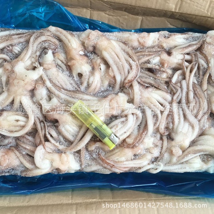 魷魚頭批發(fā) 魷魚須 槍烏賊冷凍海產(chǎn)品 速凍魷魚頭 冷凍魷魚須