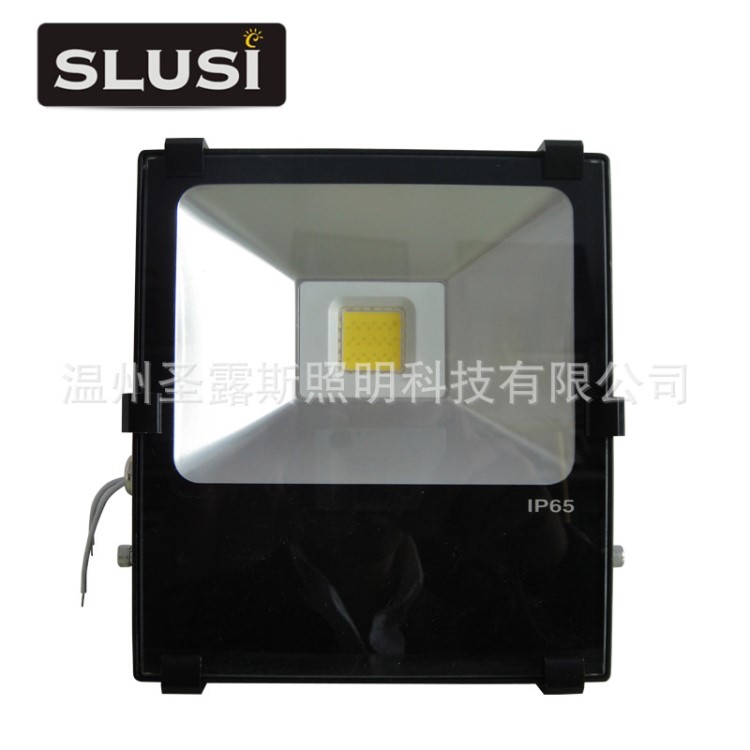 LED戶外燈具 LED工礦燈 投光礦洞燈具 30W F3003 投光燈 薄利多銷