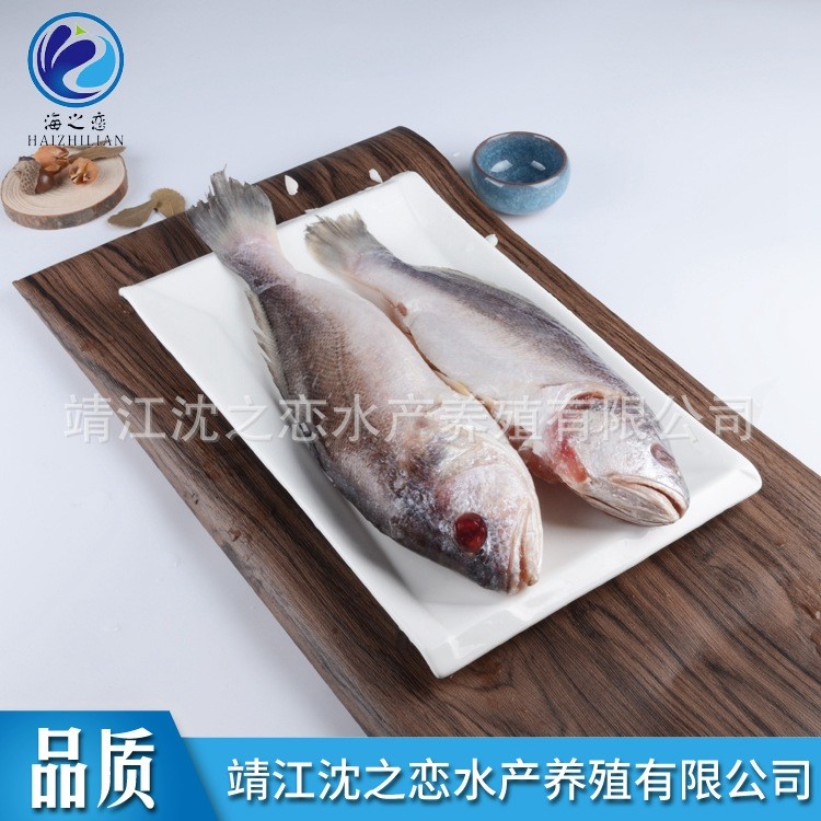 酒店學(xué)校拉菲大黃魚(yú) 海鮮類制品冷凍水產(chǎn)半成品酒店食材大黃魚(yú)