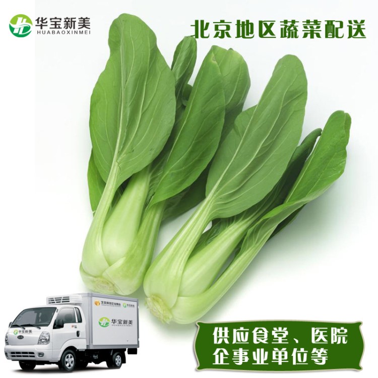蔬菜配送 批發配送 小白菜 機關食堂配送