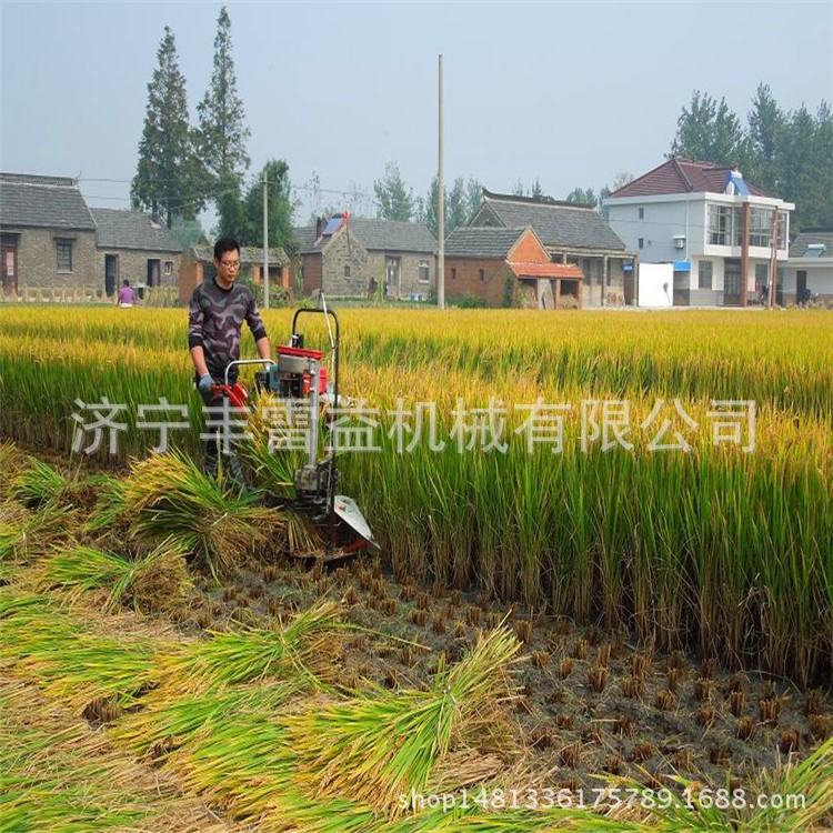 鎮(zhèn)江 麥子收割機(jī) 水稻秸稈打捆機(jī)廠家 自走式小麥割曬機(jī)