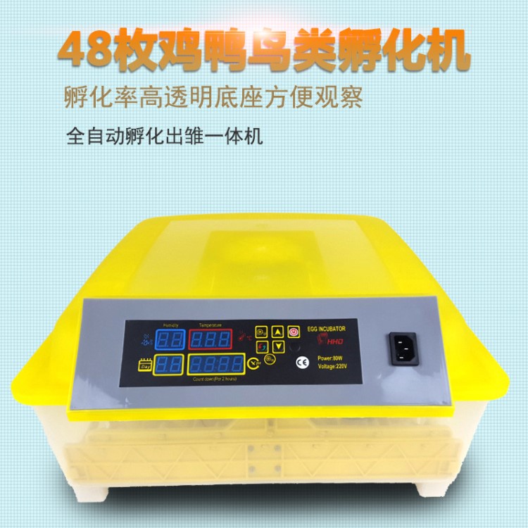 HHD家用小型孵化器 自動48枚迷你孵化機鴿子孵蛋器 雞鴨鵝孵化機