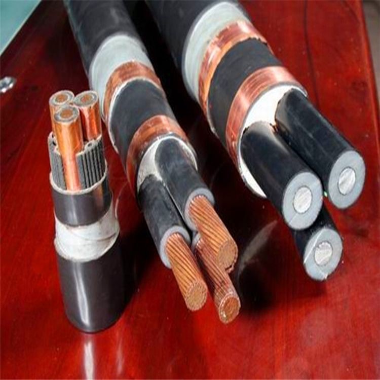 諾能  3.6Kv礦用電纜3000V 6000V 6kv電纜MYP-3KV  MYP-6KV
