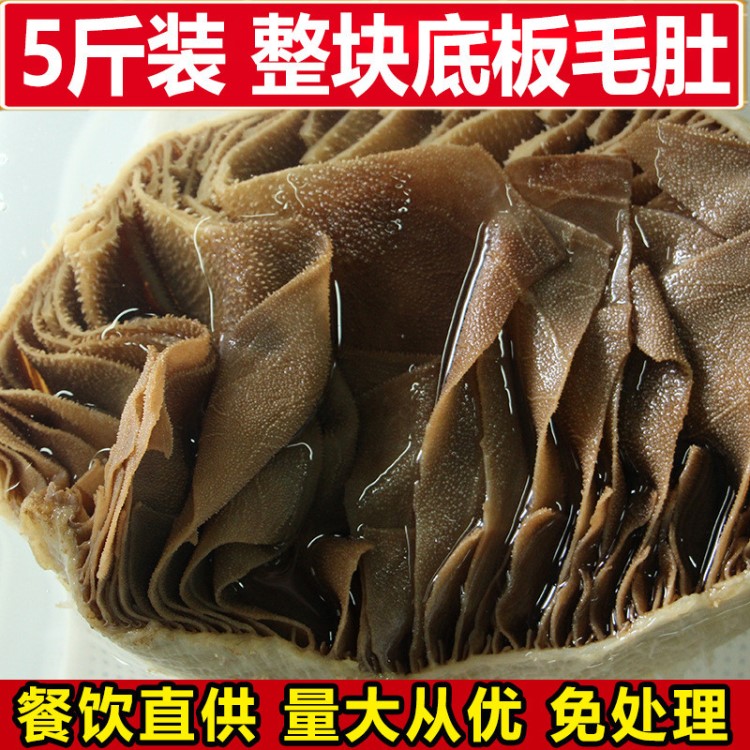 新鲜黑毛肚整个 四川火锅食材批发牛百叶 带底板牛肚餐饮酒店包邮