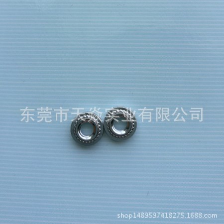 CLS-440-2  廠家直銷冷墩壓鉚螺母  花齒螺母  不銹鋼螺母