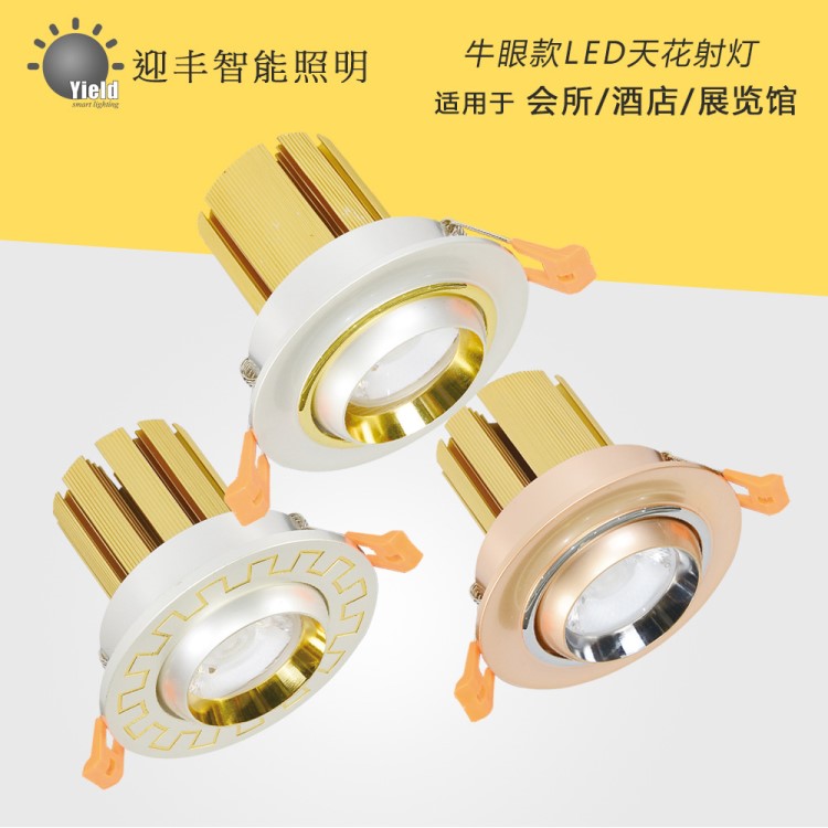 LED天花燈電鍍鋁材質(zhì)萬向牛眼燈會所餐飲酒店工程照明酒店射燈