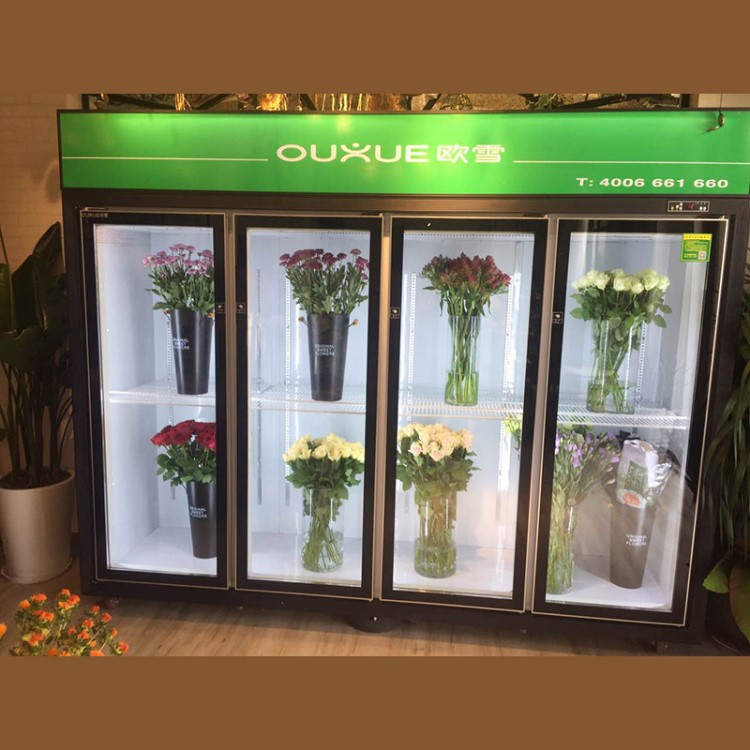 鲜花柜花店鲜花展示柜风冷鲜花保鲜柜鲜花冷藏柜定制厂家直销