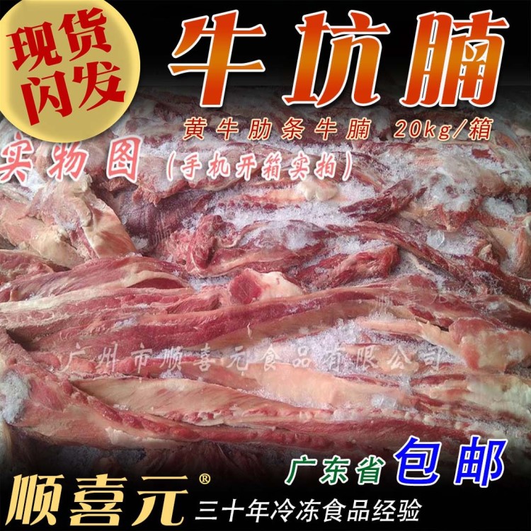 冷凍黃牛腩 牛坑腩條 肋條牛胸腩非牛白腩牛腩粉原料廣東包郵40斤