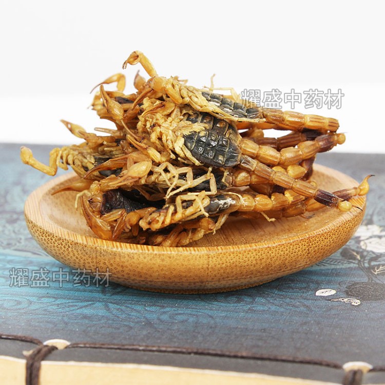 批發供應蝎子 全蝎 干蝎子 全蟲 無雜質 量大價優