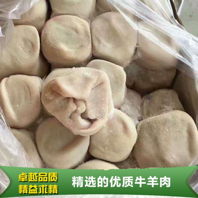 厂家直销 新西兰羊肚 新鲜绿色食品羊肉肚 涮火锅羊肉批发