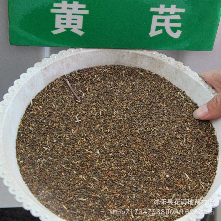 批發黃芪中藥材種子 顆粒飽滿 黃芪種子又名細枝巖黃芪發芽率高