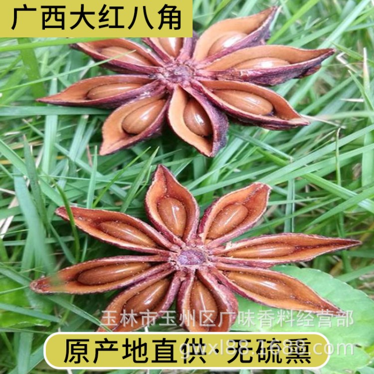 春黑果花干支大茴香五香料调料烹饪作料大料包卤肉料广西大红八角