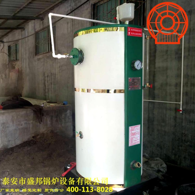 燃氣取暖養殖加溫養豬養雞苗圃專用鍋爐食用菌小型做豆腐蒸汽鍋爐