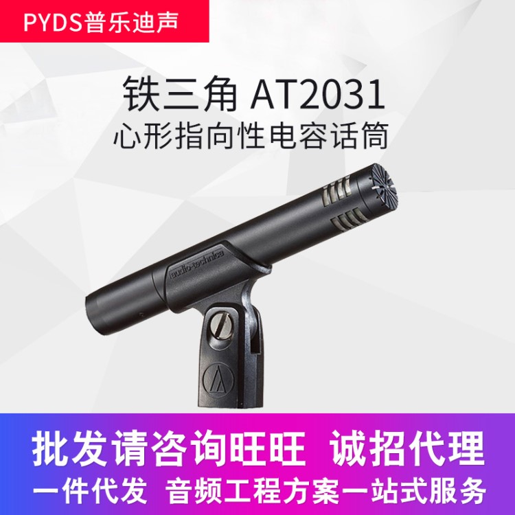 Audio Technica/鐵三角 AT2031 電容麥鋼琴提琴吉他人聲話(huà)筒