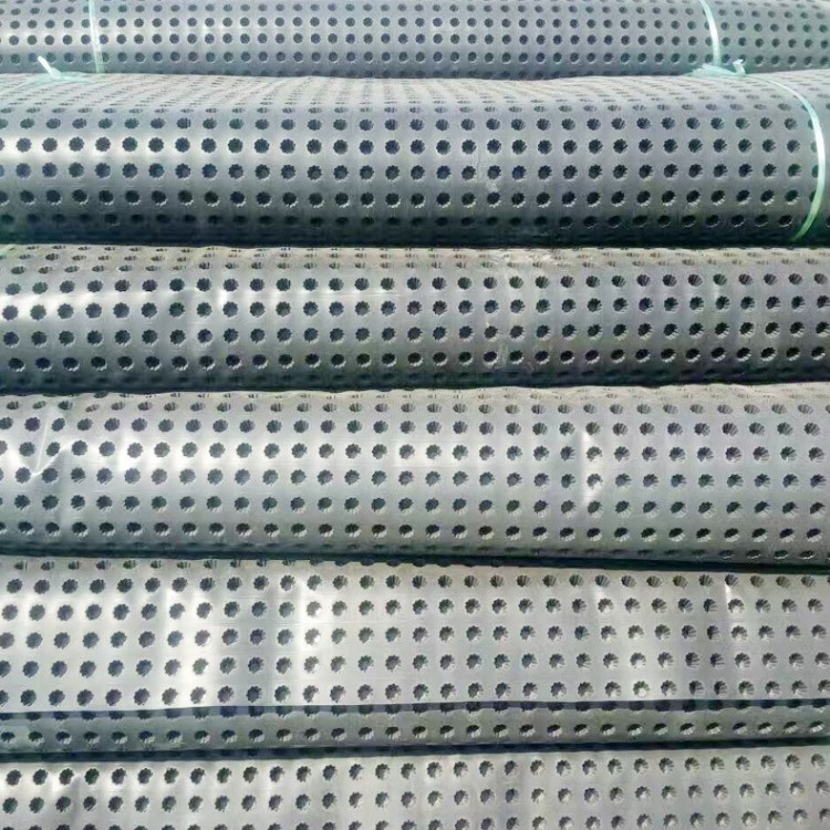 廠家供應屋頂種植花草排水板 EVA塑料排水板 耐腐蝕塑料排水板