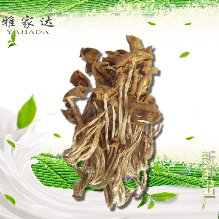 雅家达土特产直销茶薪菇批发干茶树菇新鲜出炉煲汤凉拌好食材